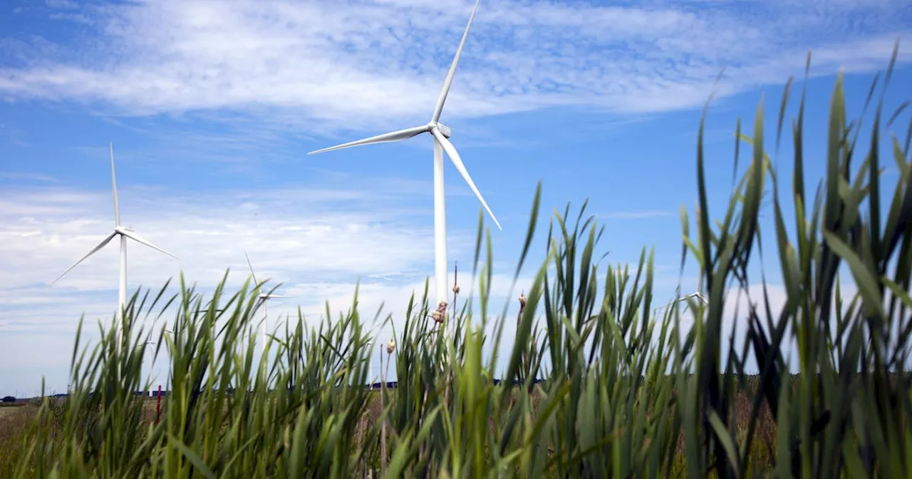 Proposed Wedgeport Wind Farm project progressing as development agreement applied for