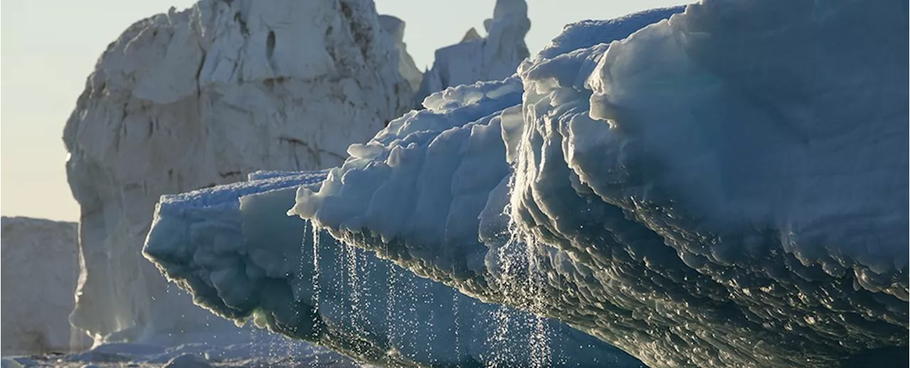 West Antarctic Ice Sheet Collapse May Now Be Unavoidable, Scientists Warn