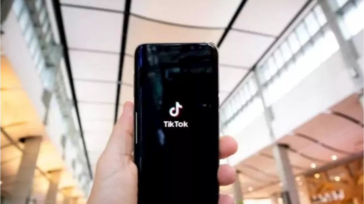 Bos TikTok Kirim Surat ke Jokowi Minta Ketemu, TikTok Shop Dibuka Lagi?