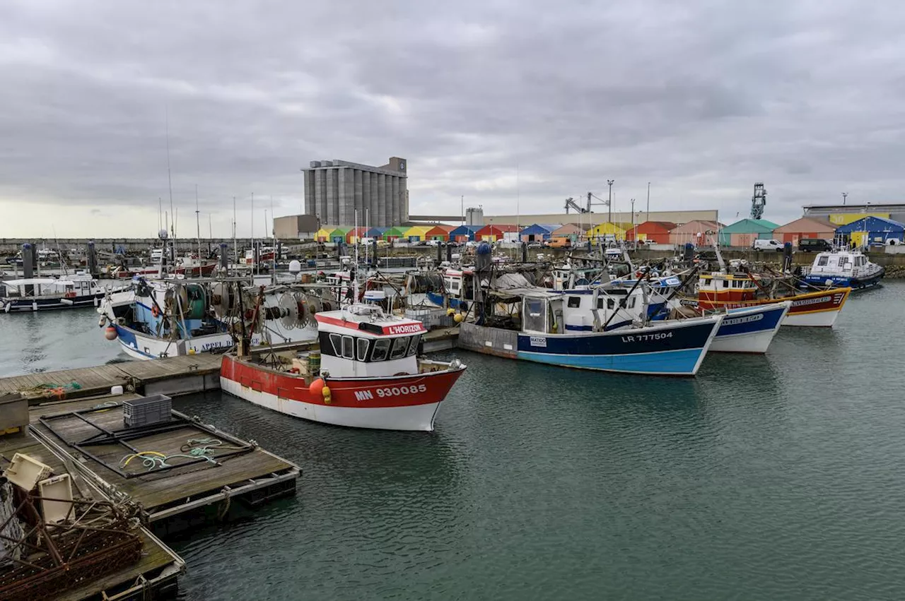 La Rochelle : en images, découvrez l’histoire du port de pêche de Chef-de-Baie