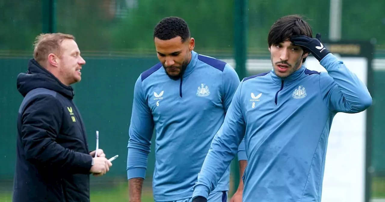 Tonali trotz Wettskandals im Newcastle-Training