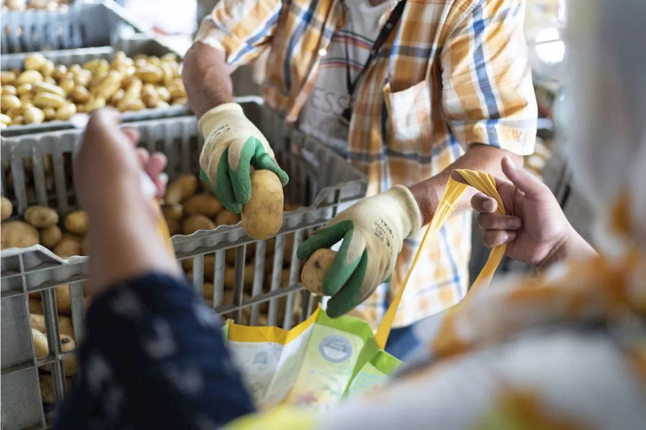 Gesunder Arbeitsmarkt: Zahl der Sozialhilfebezüger in Schweizer Städten sinkt