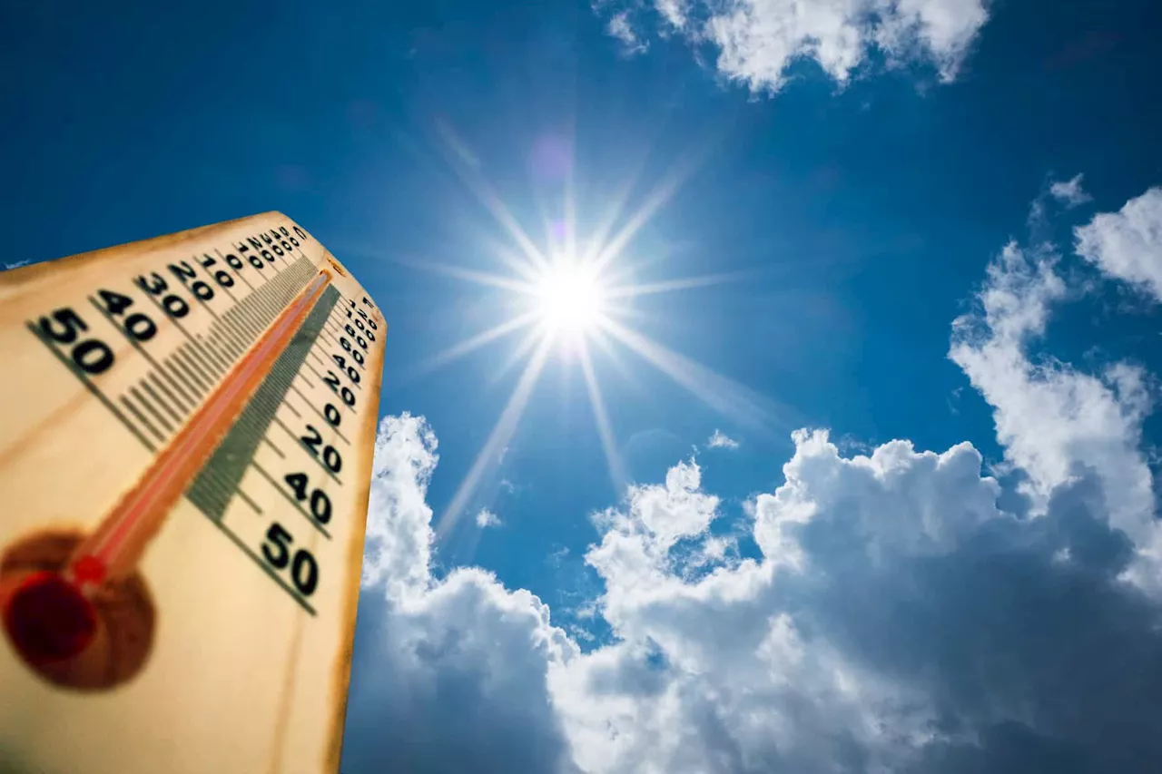 Heatwave Alert: persistently high temperatures expected in Gauteng on Wednesday