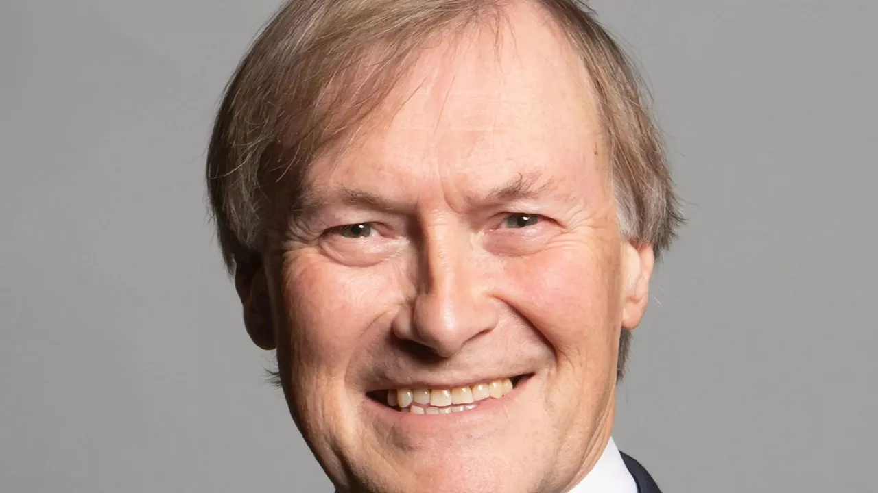 Plaque commemorating murdered MP Sir David Amess unveiled in the House of Commons...