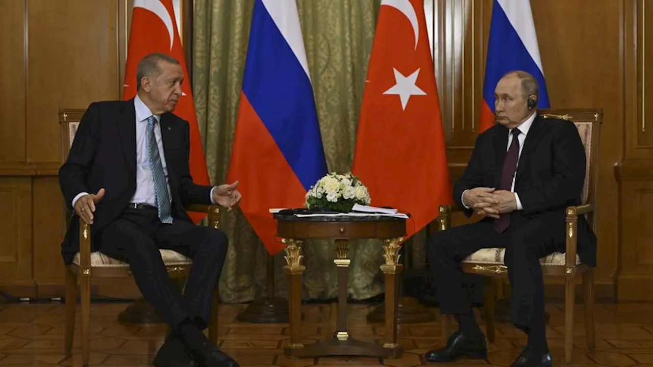 Turkish President Erdogan, Russian counterpart Putin discuss Israel-Palestine conflict