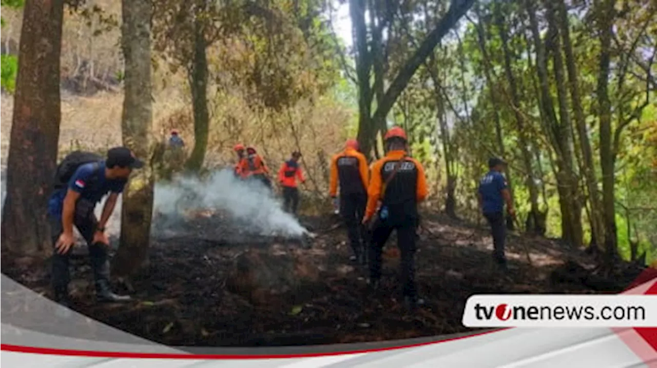 Akhirnya, Kebakaran Hutan Gunung Lawu di Magetan Padam Setelah Diguyur Hujan Lebat