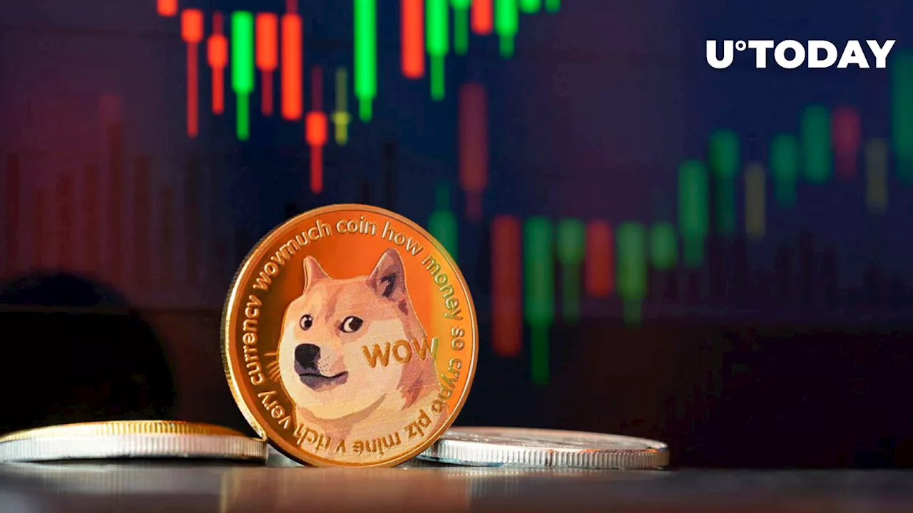 DOGE Jumps 13%, Here's What Dogecoin Fear and Greed Index Shows