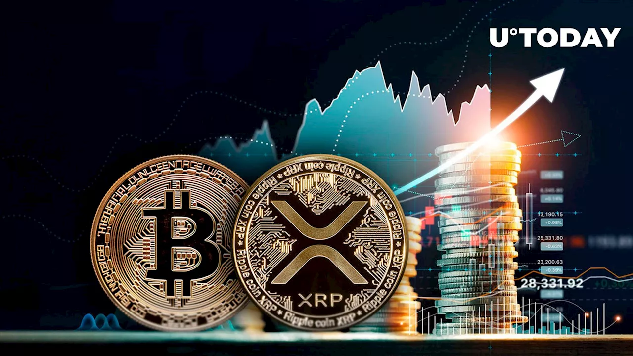 Massive Crypto Rally: Bitcoin Tops $35,000 While XRP Surpasses $0.55