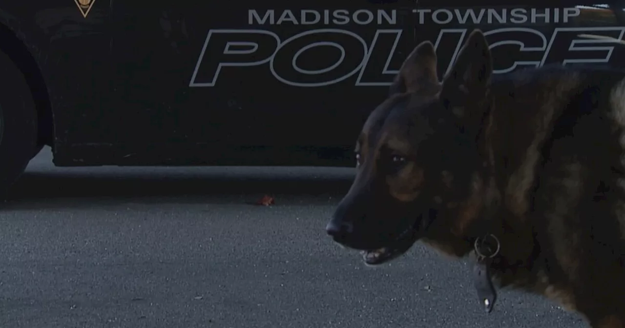 Madison Township officer seeking community donations to restart K-9 unit