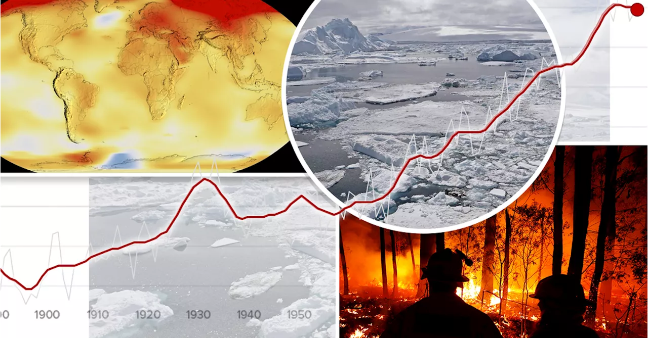 Earth's vital signs have never been worse, as climate scientists warn of 'unbearable heat and shortages of foo