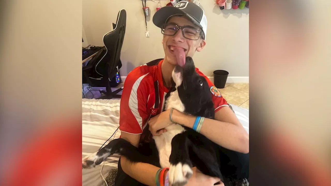 Family dog alerts parents as 17-year-old suffers stroke in the middle of the night