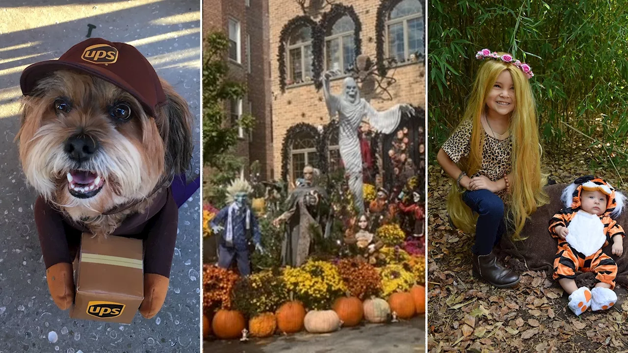 Halloween 2023 costumes and decorations: Share photos and video with Eyewitness News