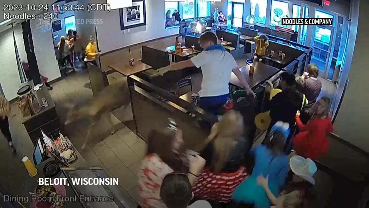 Deer charges through crowded Wisconsin restaurant