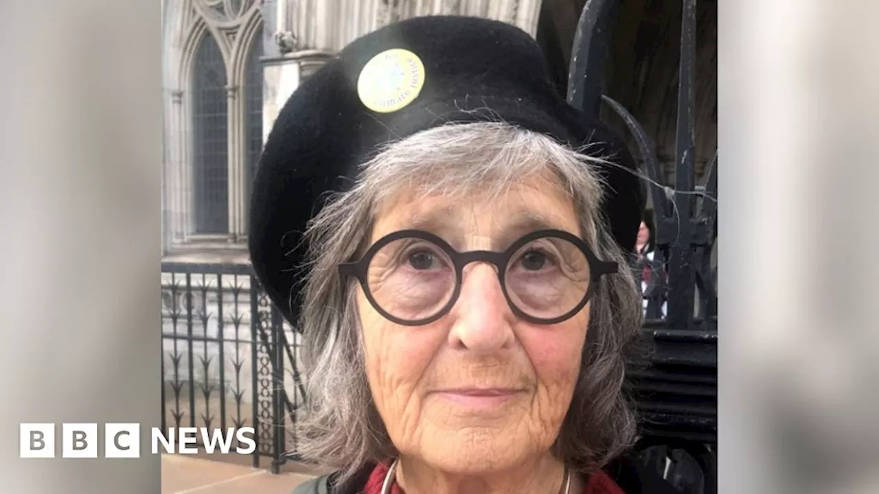 Bristol grandma climbs M25 gantry in 'climate emergency' protest