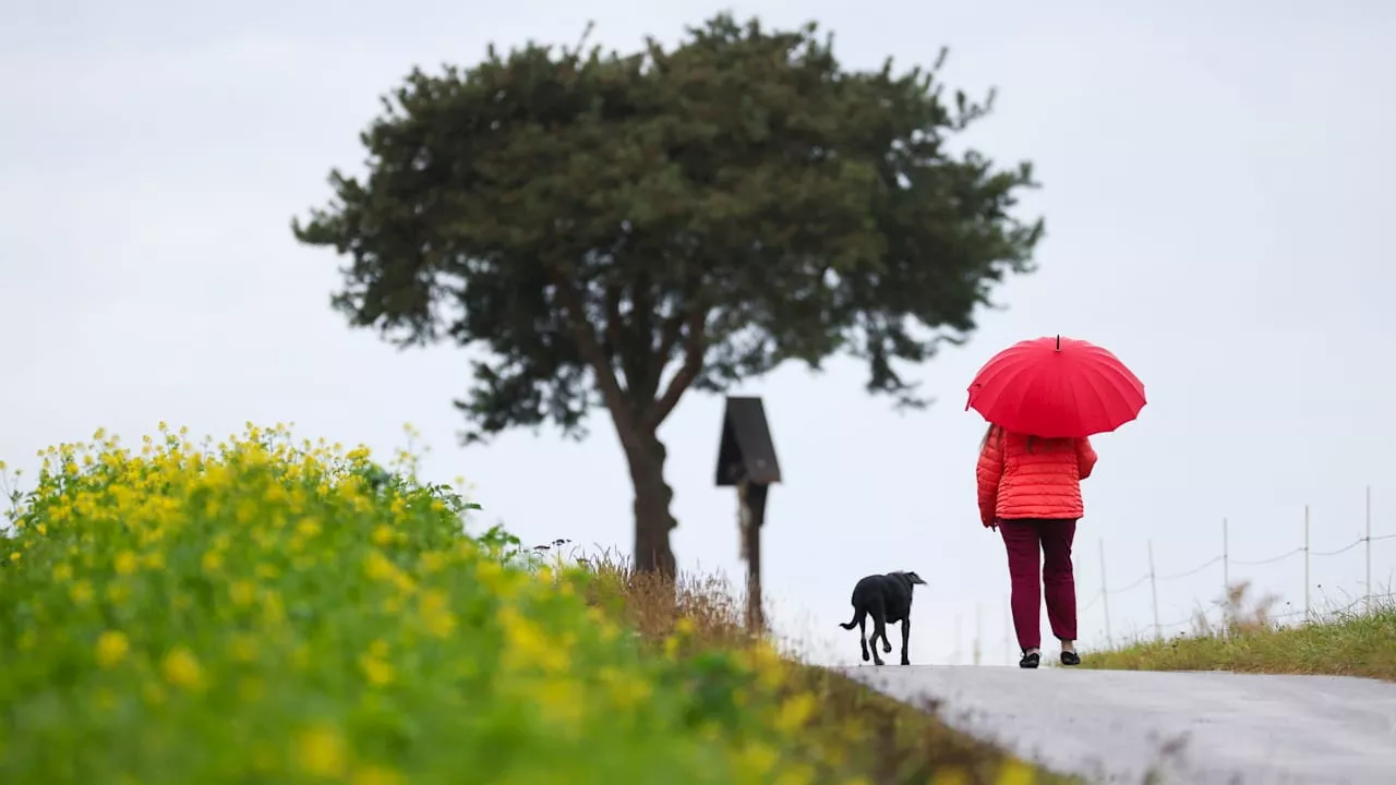 Schirm nicht vergessen: Es wird herbstlich in Baden-Württemberg