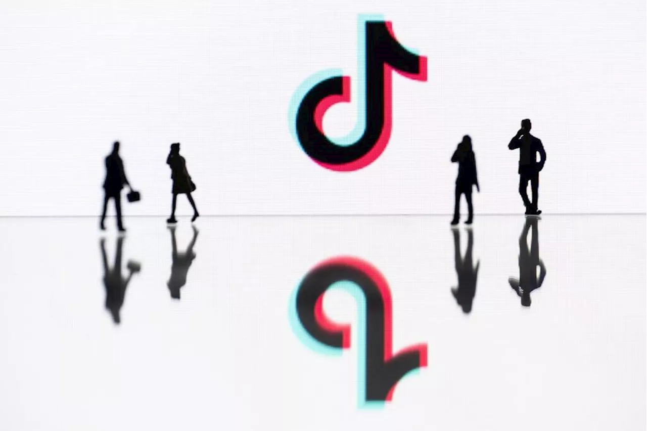 TikTok removed 4mn 'violative' videos in EU last month