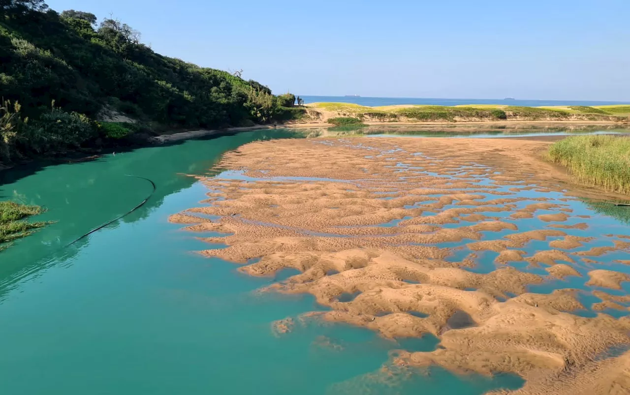 Watchdogs call for criminal charges after UPL’s contaminated water pours into Durban river