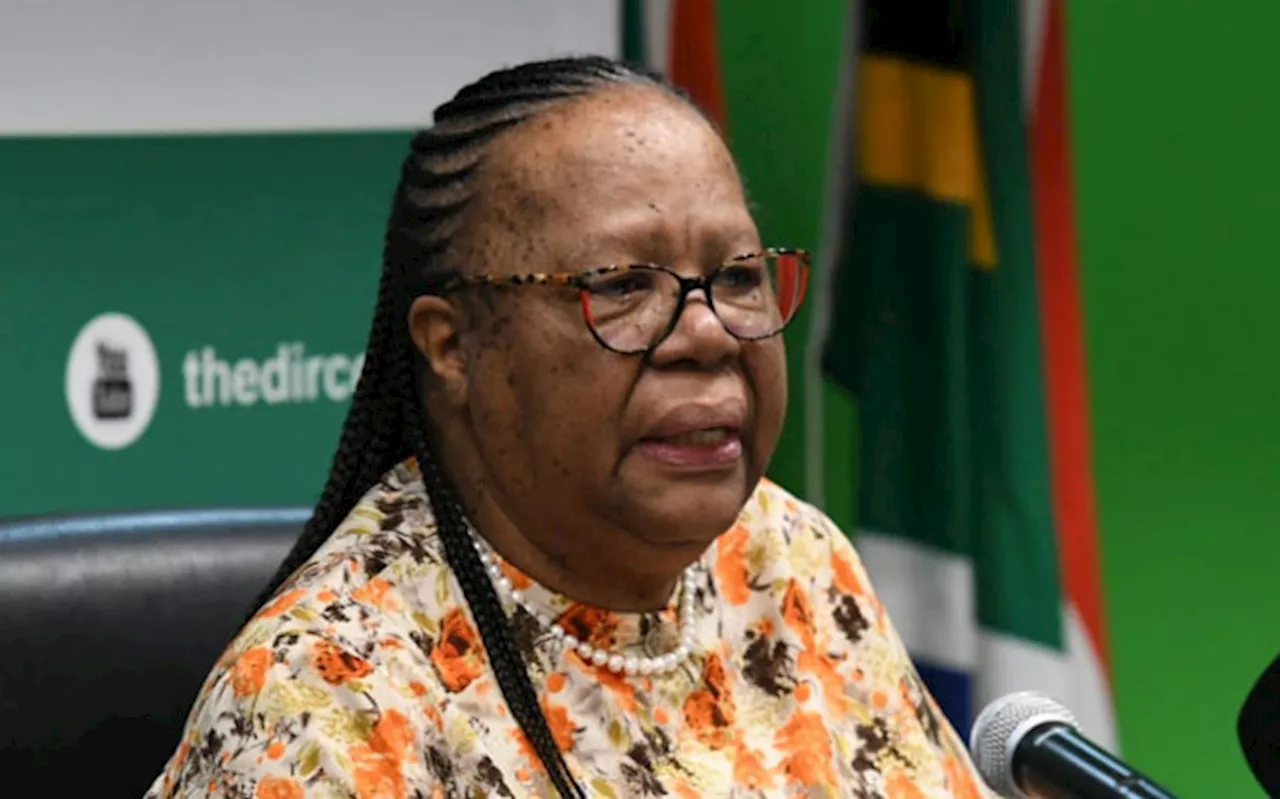 SA's Pandor condemns actions of Israel & Hamas in Middle East conflict