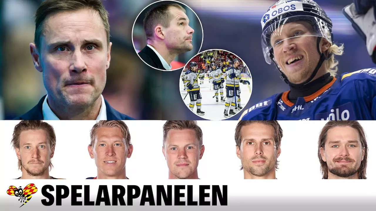 Spelarpanelen: Tipset till HV71 och bästa tränaren i SHL