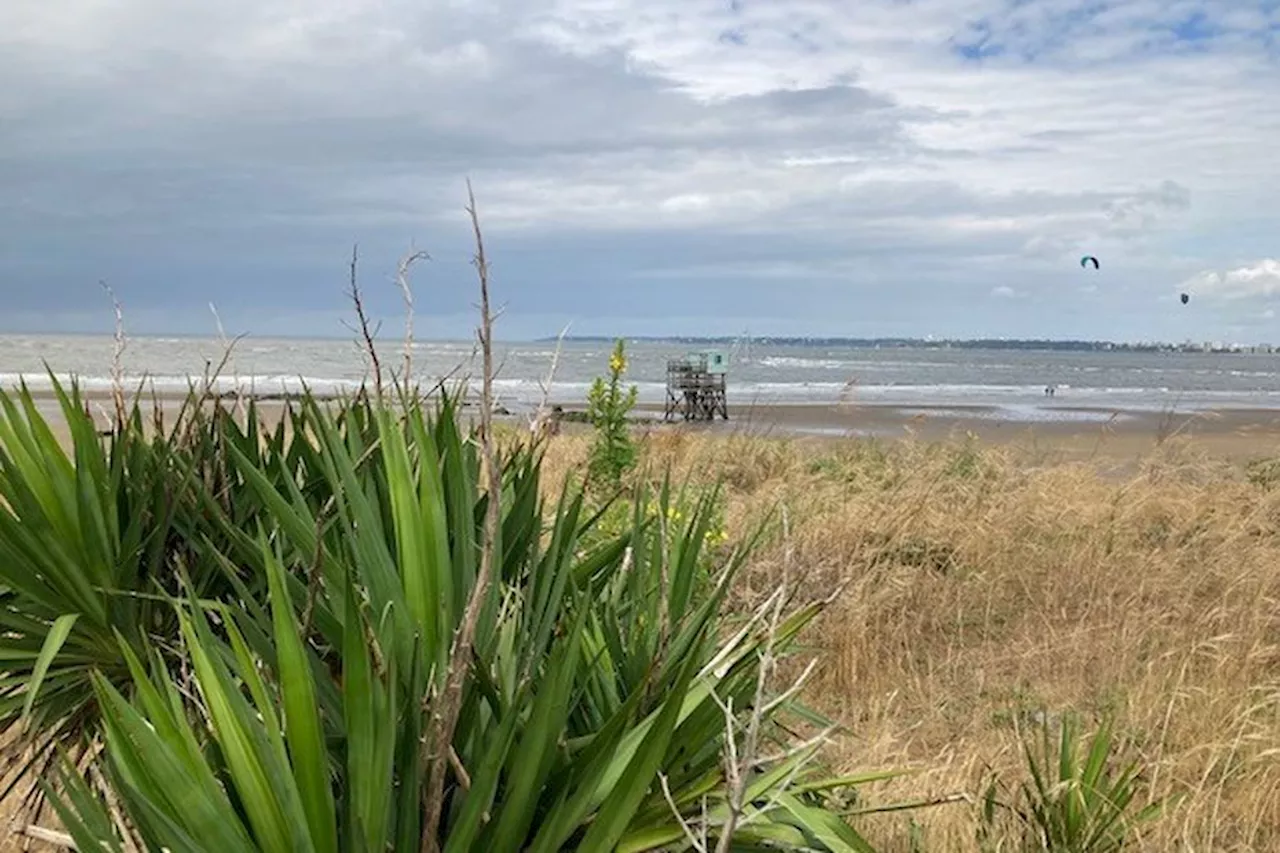 Météo en Pays de la Loire : un mercredi pluvieux et de nouveau venteux