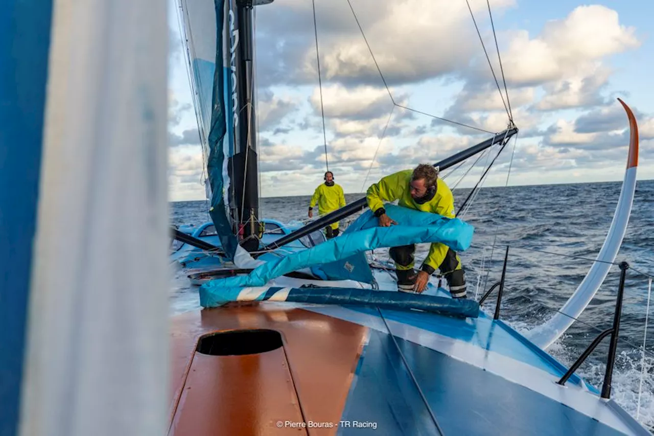 VIDEOS. 'J'ai vu des baleines', 'je suis tombé à l'eau'... Des skippers de la Transat Jacques Vabre racontent