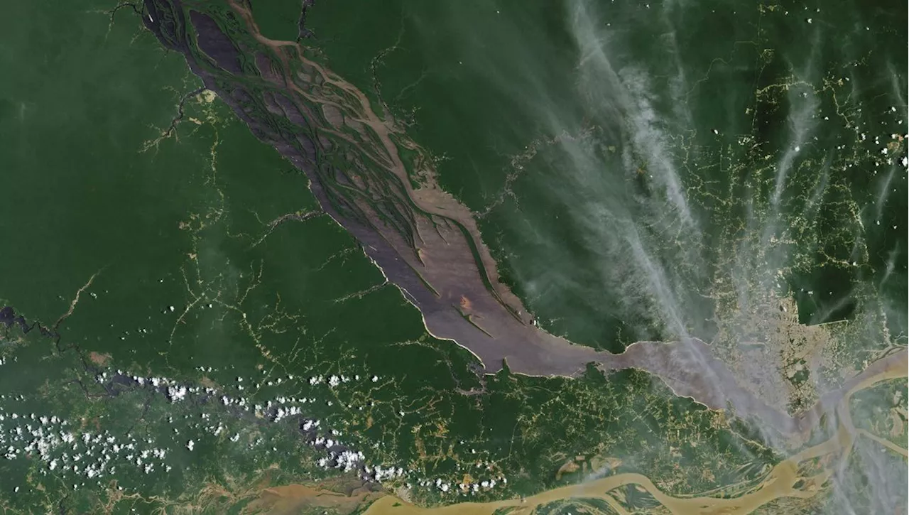 Brésil : ces images satellites révèlent la sécheresse du Rio Negro