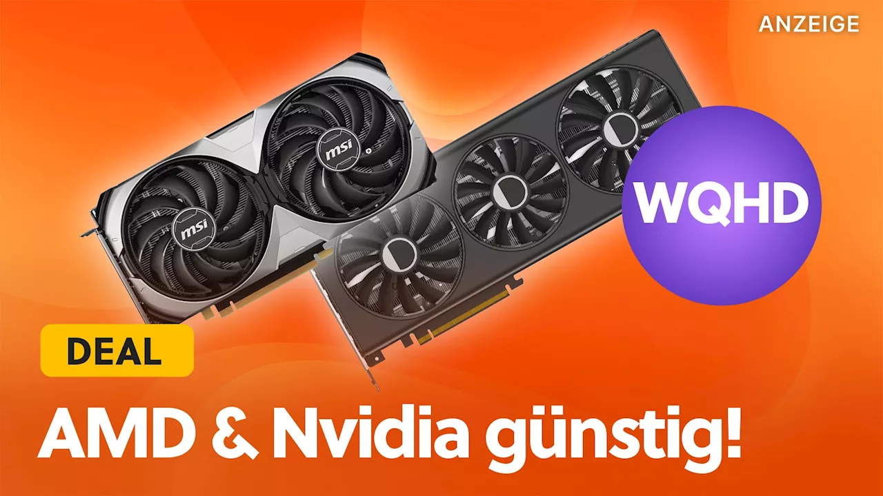 Jetzt gibt's die besten WQHD-Grafikkarten von AMD und Nvidia im Top-Angebot bei Mindfactory