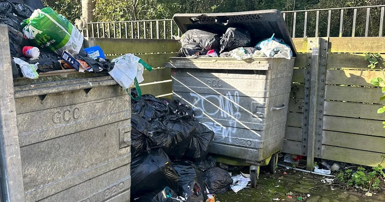 Overflowing bins blight Glasgow neighbourhood as mum calls for council action