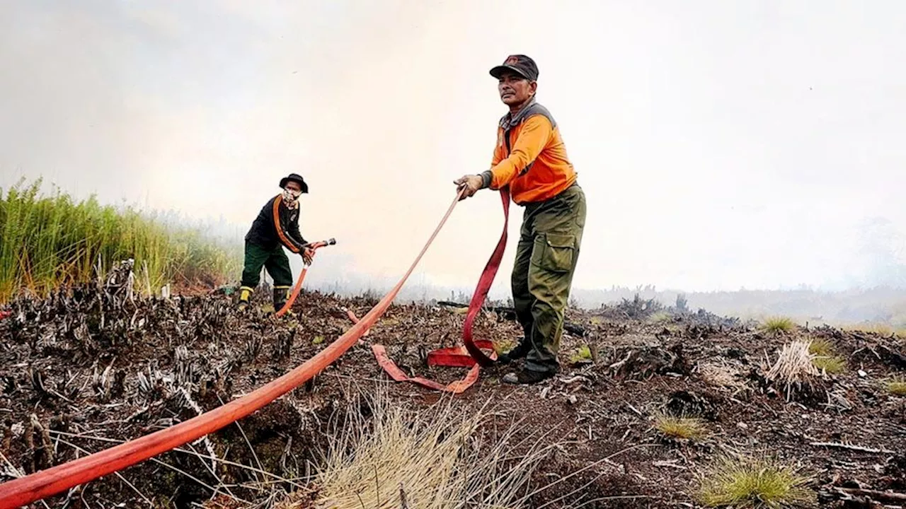 Learn to Control Forest and Land Fires from Jambi and South Kalimantan