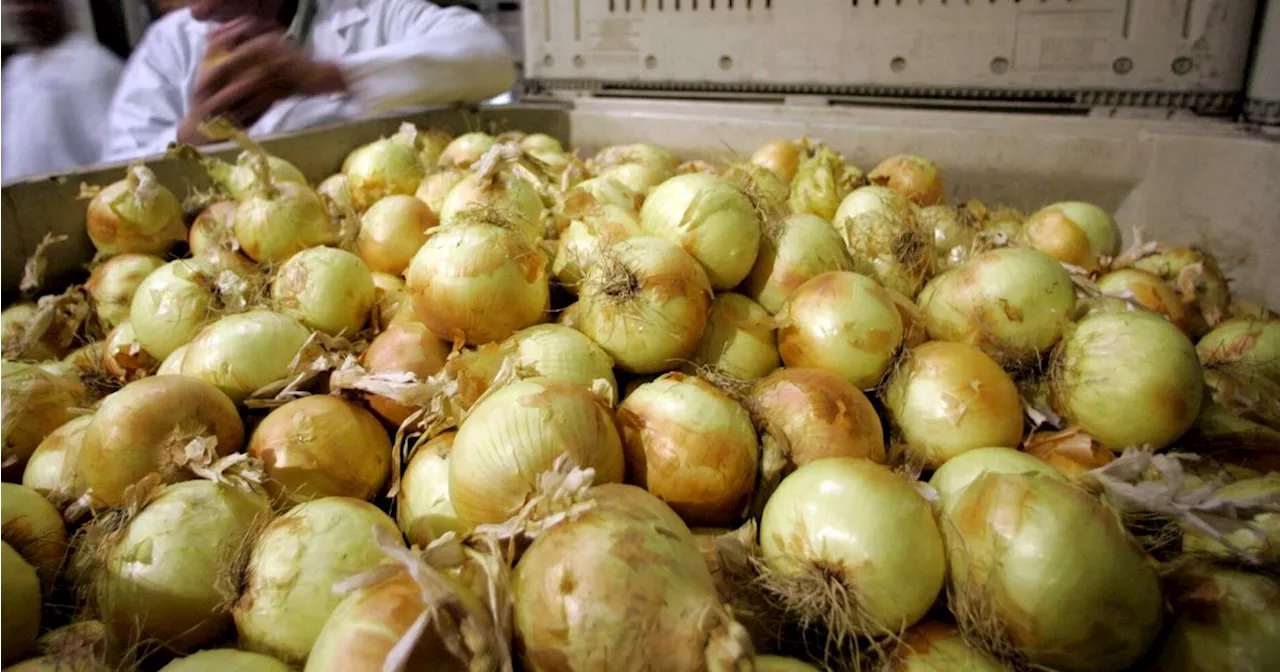 Bagged, Precut Onions Linked To Salmonella Outbreak In 22 States
