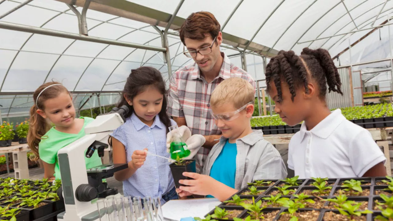 Bridging the gap: The role of experiential learning in STEM