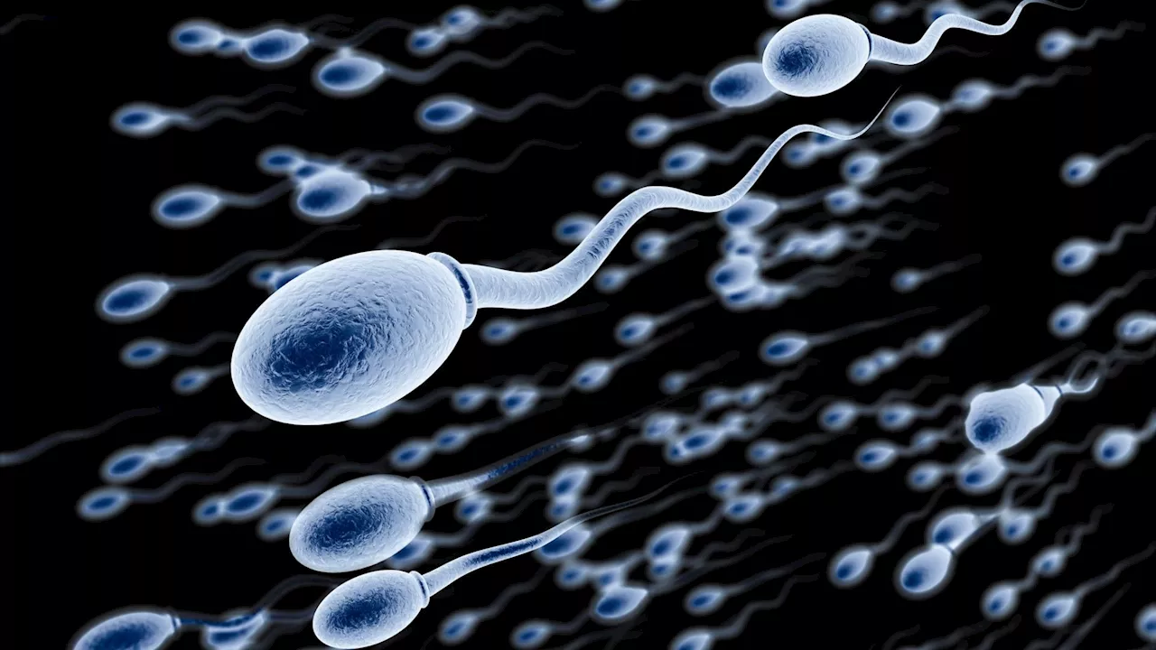 Spectators to swimmers: Decoding sperm motility through voltage-switch