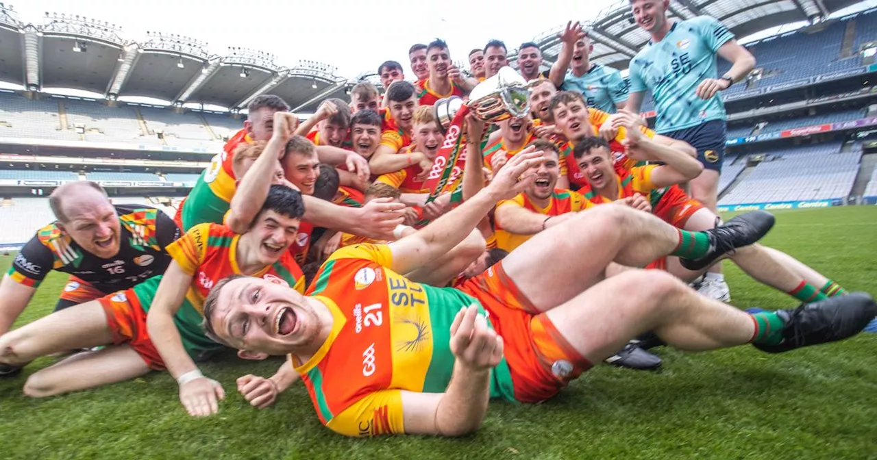 Carlow tops in Joe McDonagh Cup of the Year