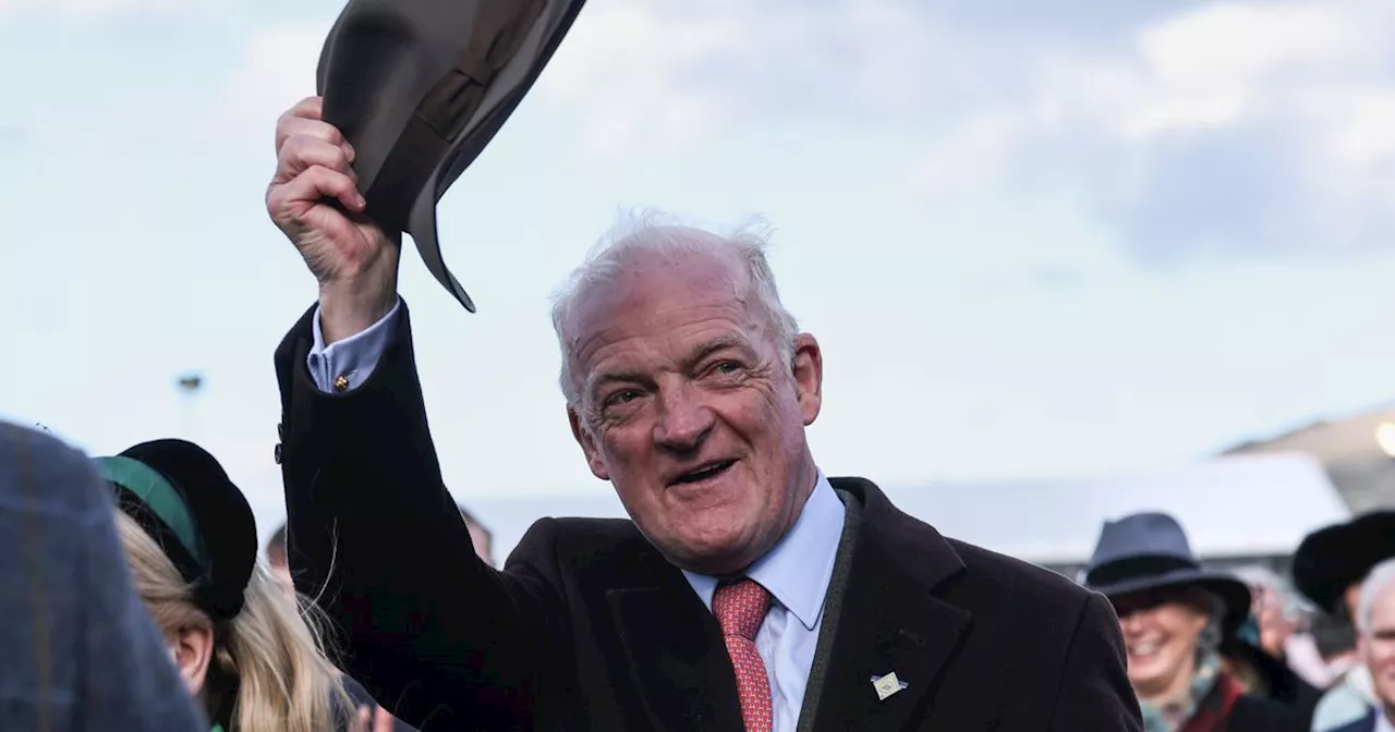 Willie Mullins picks out a horse that could really surprise people this season