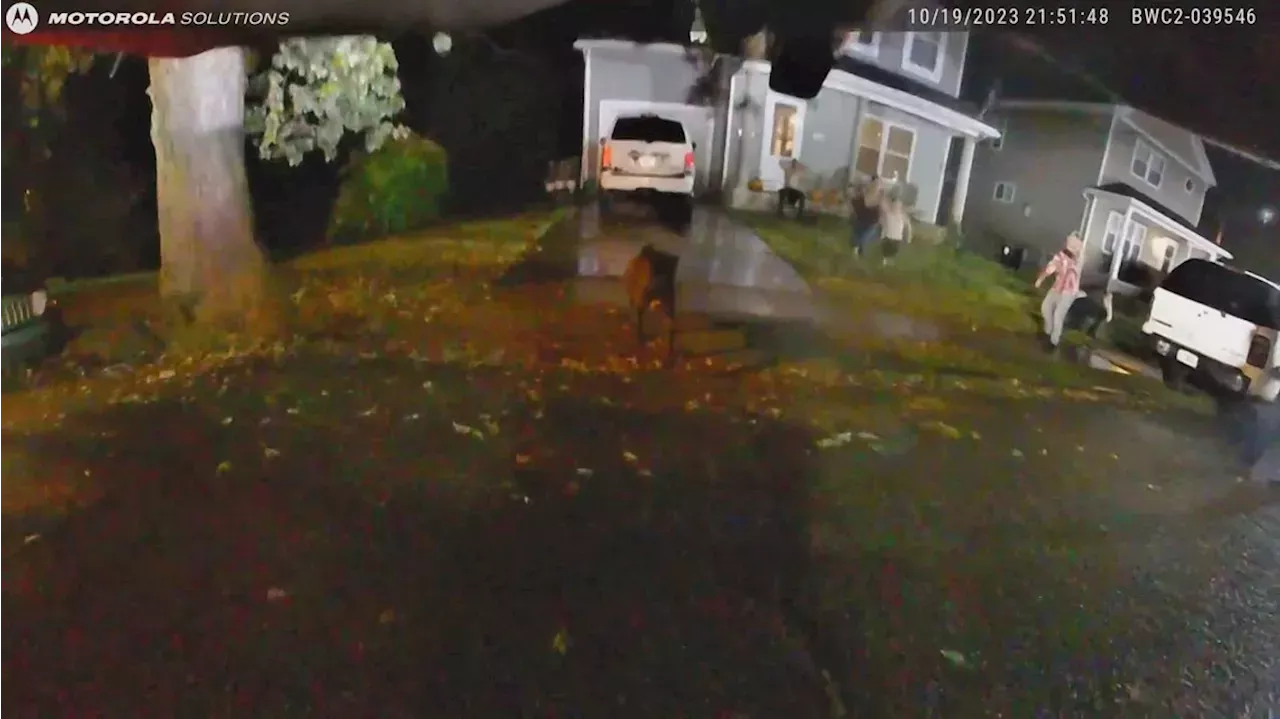 Police Release Bodycam Video Of Officer Fatally Shooting Dog While ...