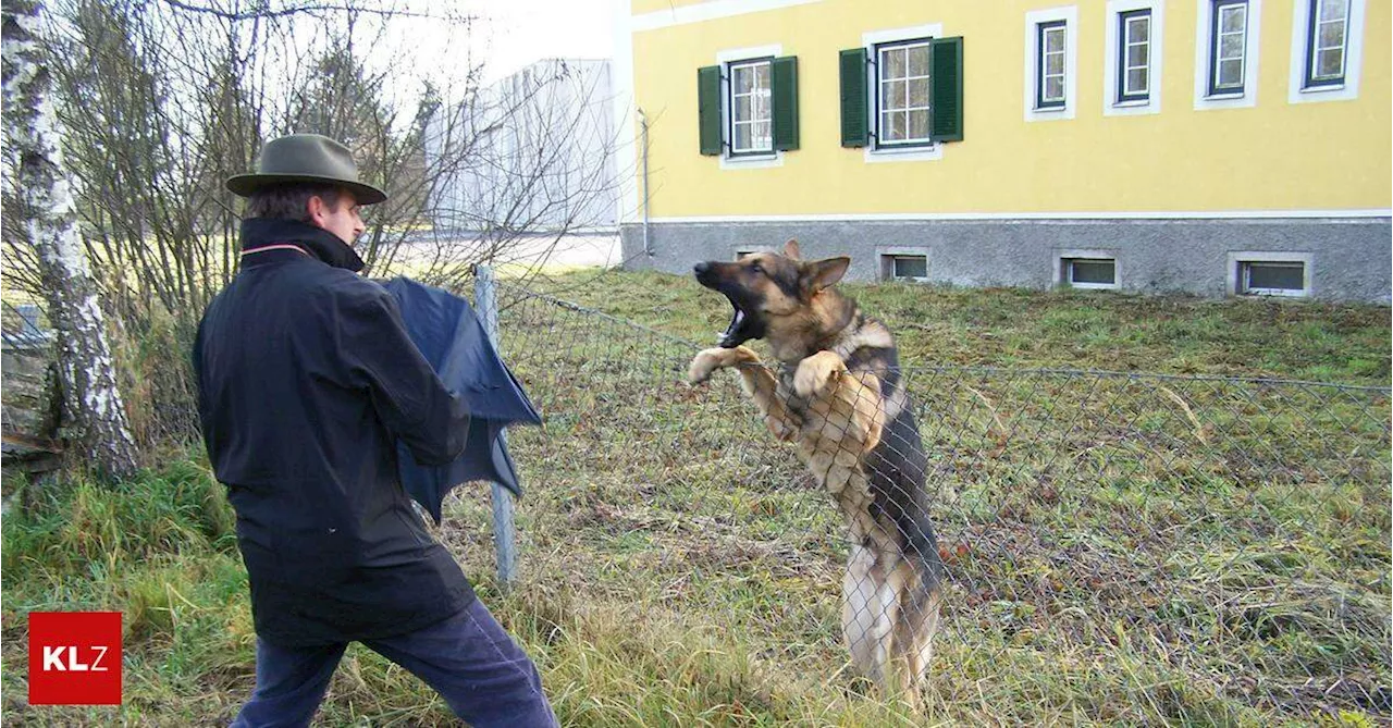 Oberösterreich:Video zeigt brutale Hundeabrichtung, Verbot wird geprüft