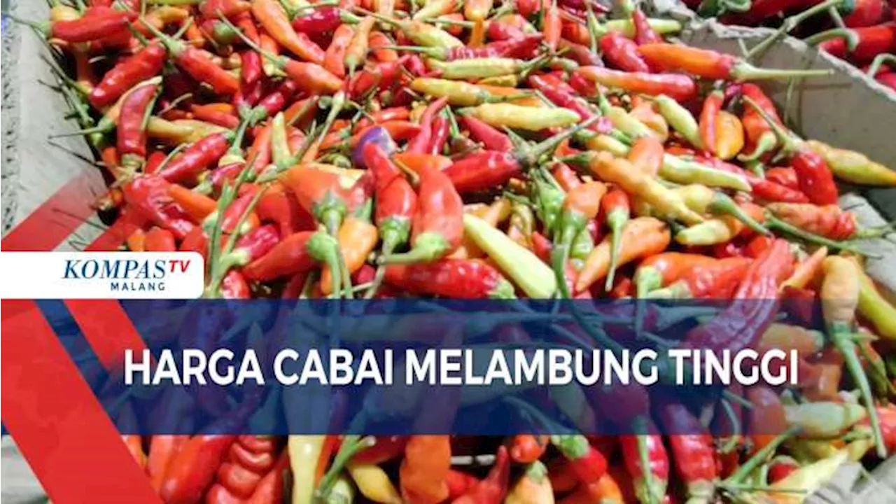 Pasokan Berkurang, Harga Cabai di Malang Melambung Tinggi