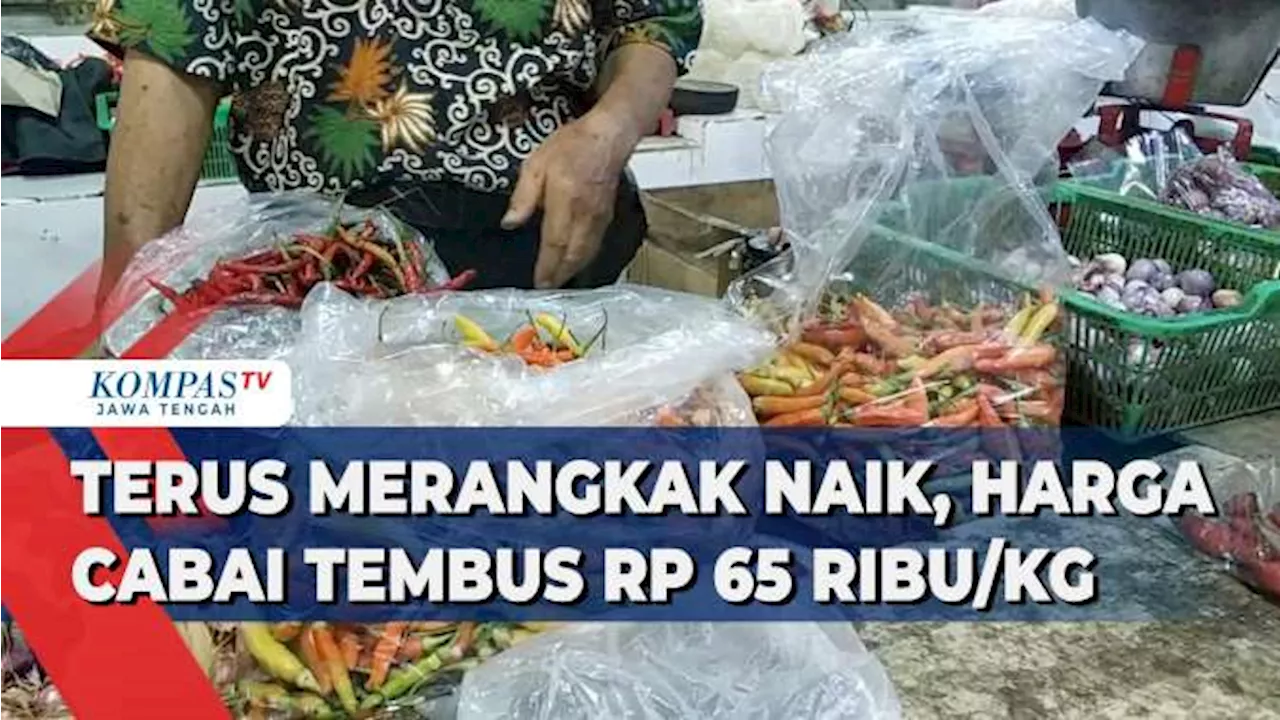 Terus Merangkak Naik, Harga Cabai Tembus Rp 65 Ribu/Kg