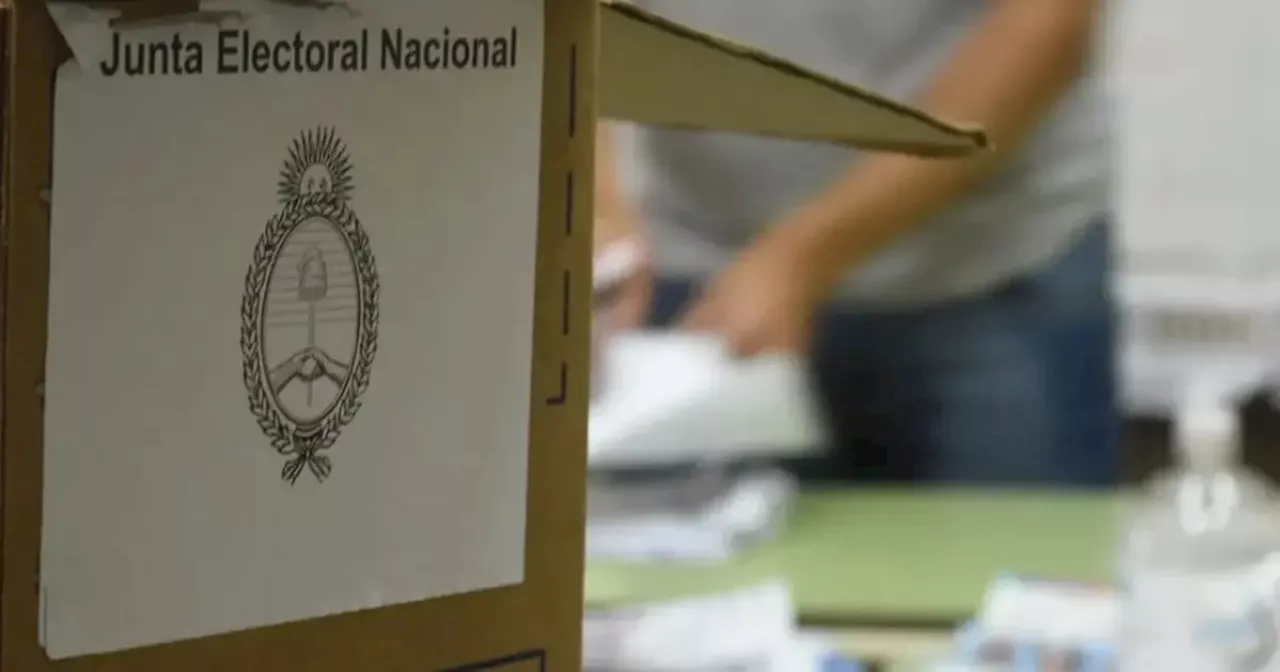 Elecciones 2023: qué debo hacer si no voté