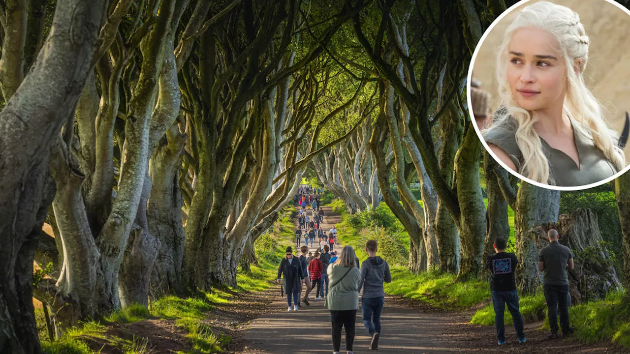 Game of Thrones landmark the Dark Hedges face the chop after being dubbed ‘unstable’