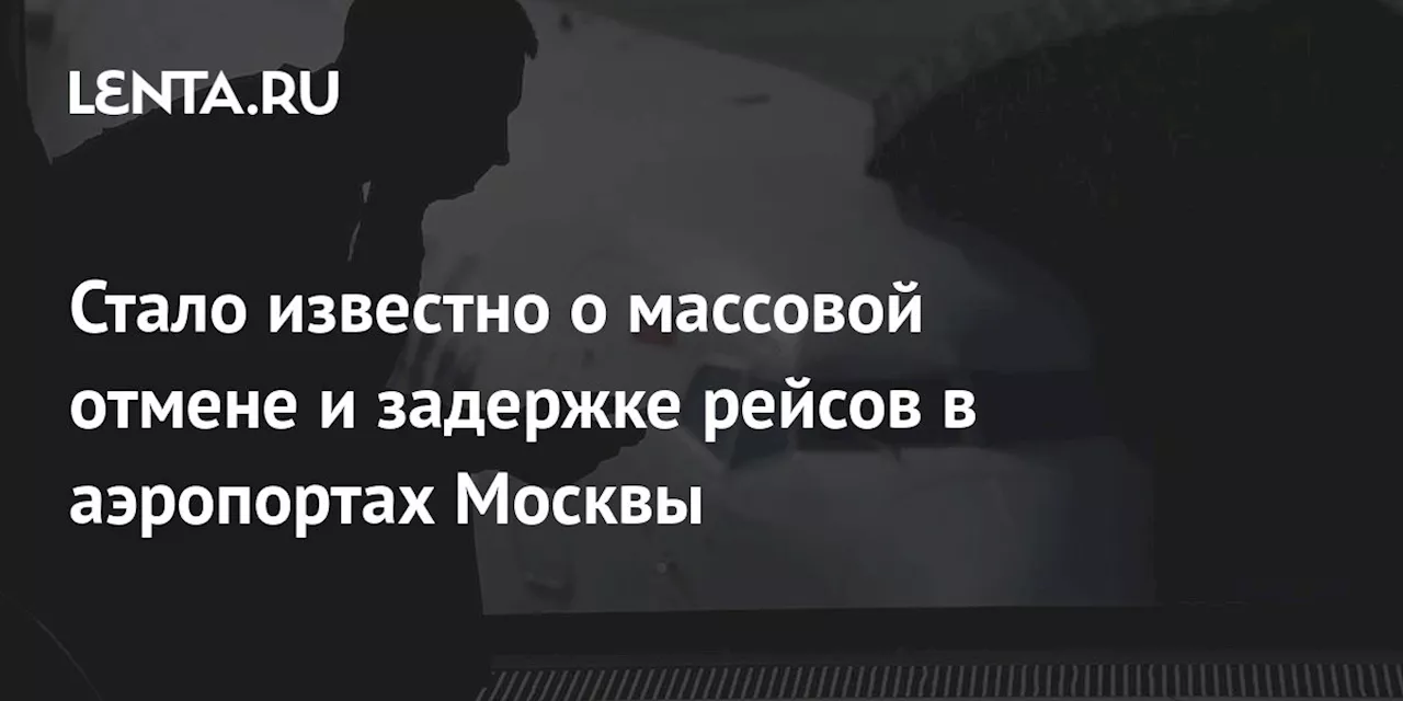 Стало известно о массовой отмене и задержке рейсов в аэропортах Москвы