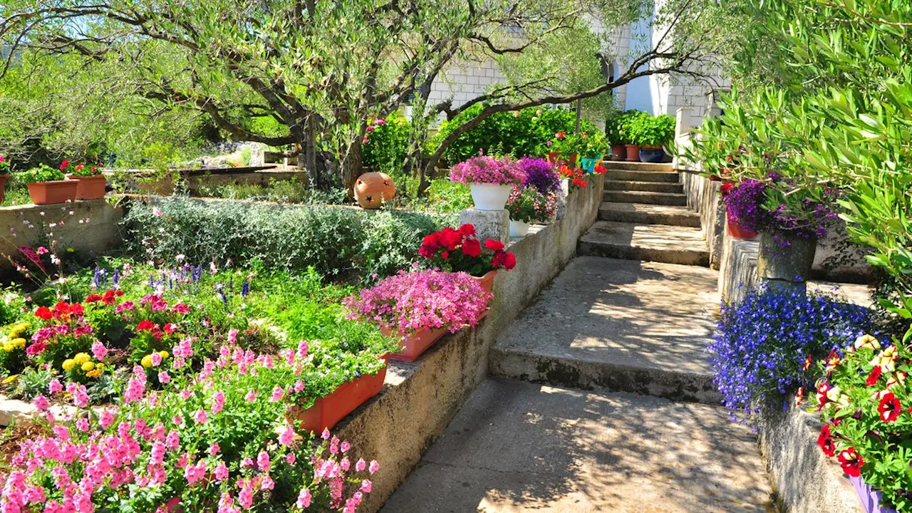 Aménager un jardin méditerranéen : profitez chez vous d’un jardin de vacances !