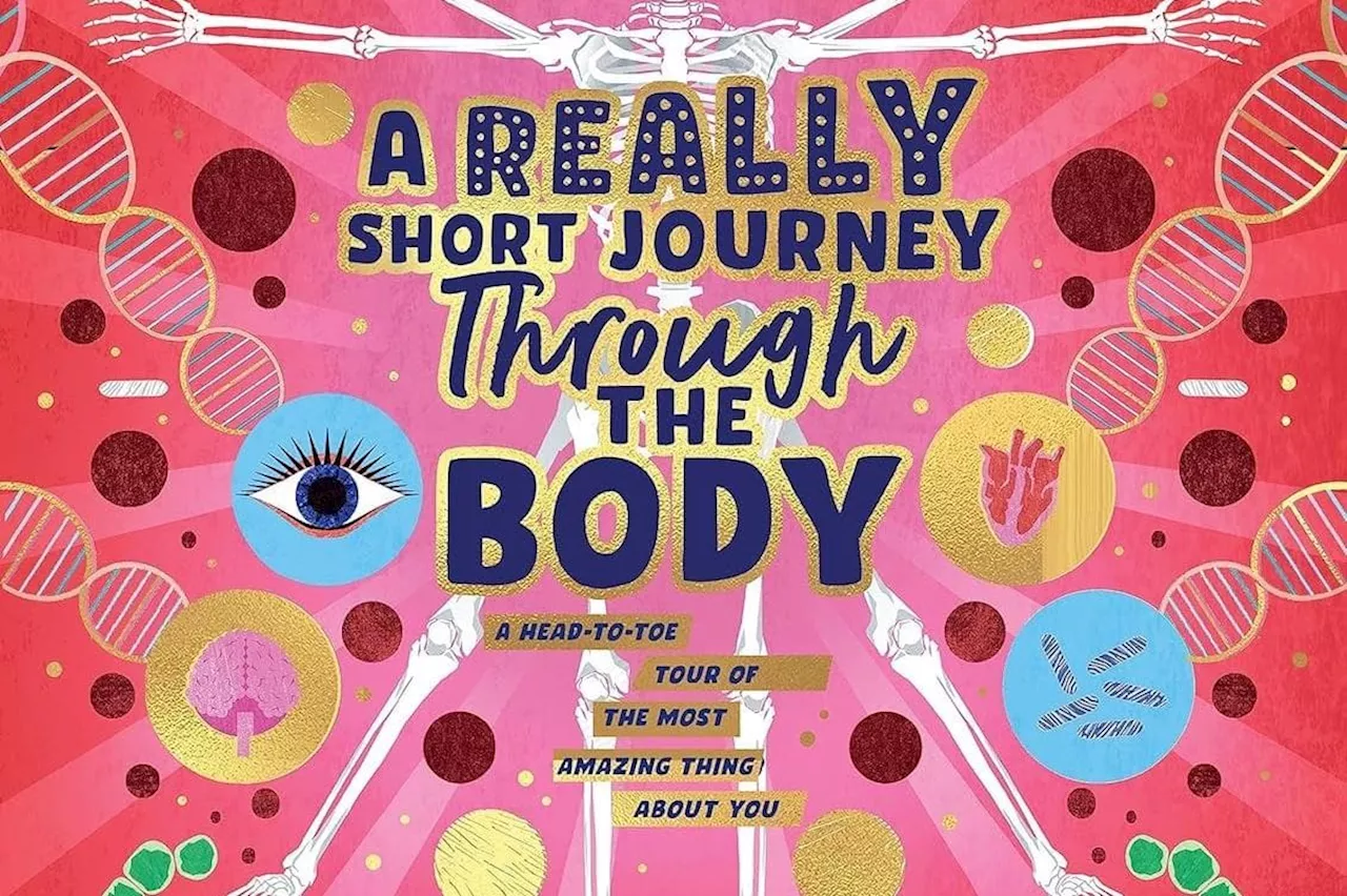 Body facts, a dream read and a cool queen by various authors – children’s book reviews –