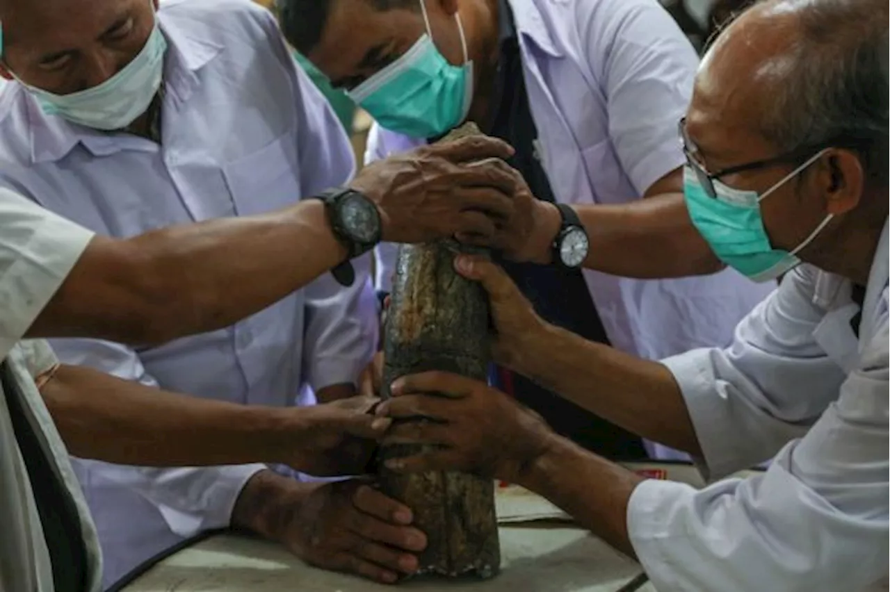 Kedubes Prancis Dukung Penuh Restorasi Museum Nasional Indonesia