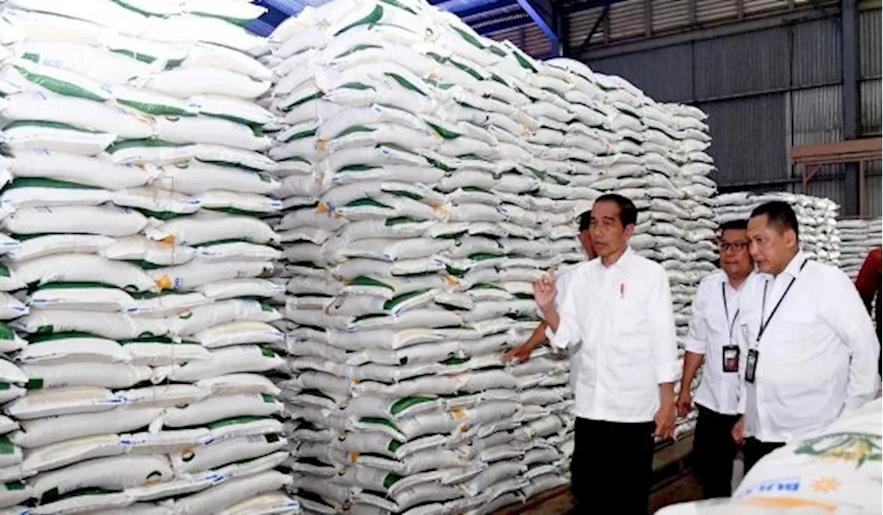 Presiden Jokowi Tegaskan Cadangan Beras Harus Ada meski Produksi Surplus