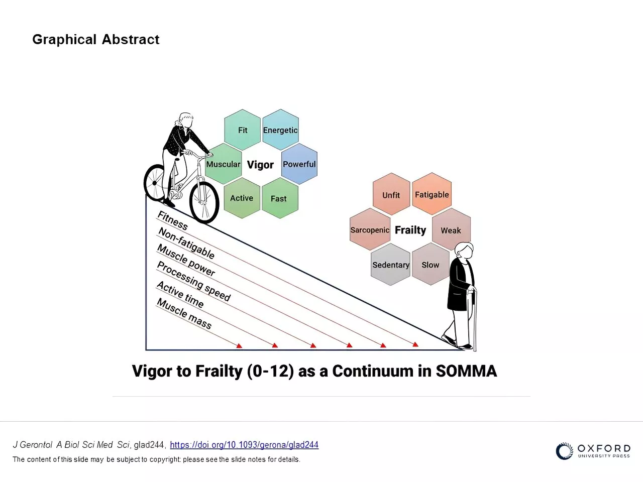 New approach assesses frailty in older adults on a continuum