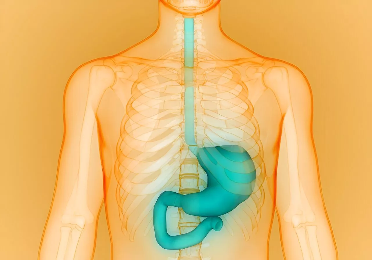 Study: Pembrolizumab + chemo, trastuzumab beneficial in gastroesophageal cancer