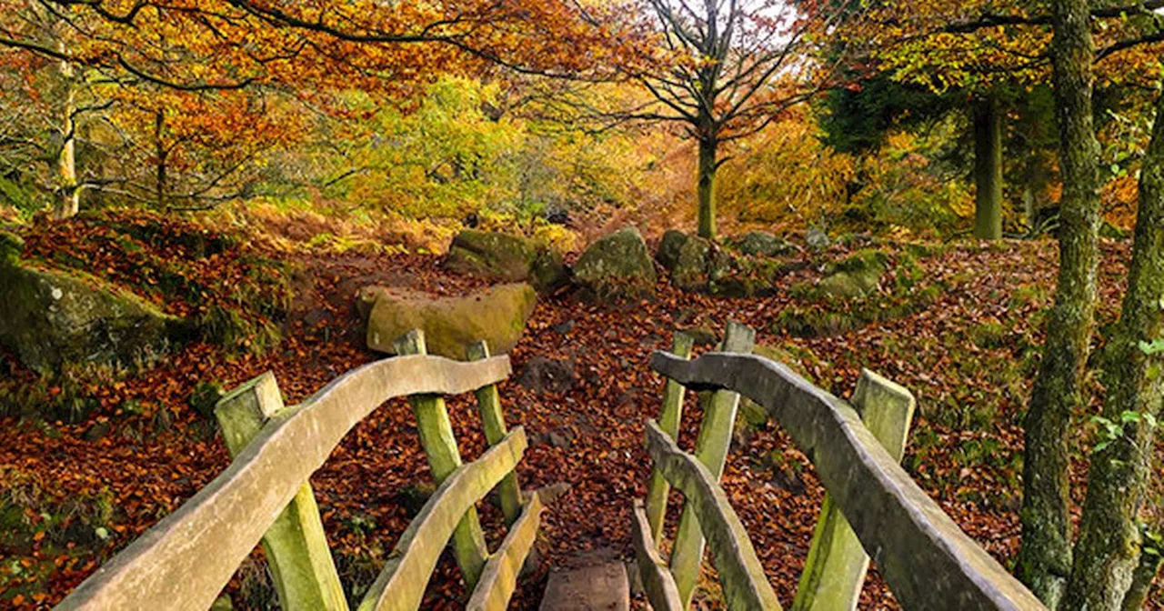 The ‘spectacular’ walk which is ‘beautiful’ in autumn you must do this half term