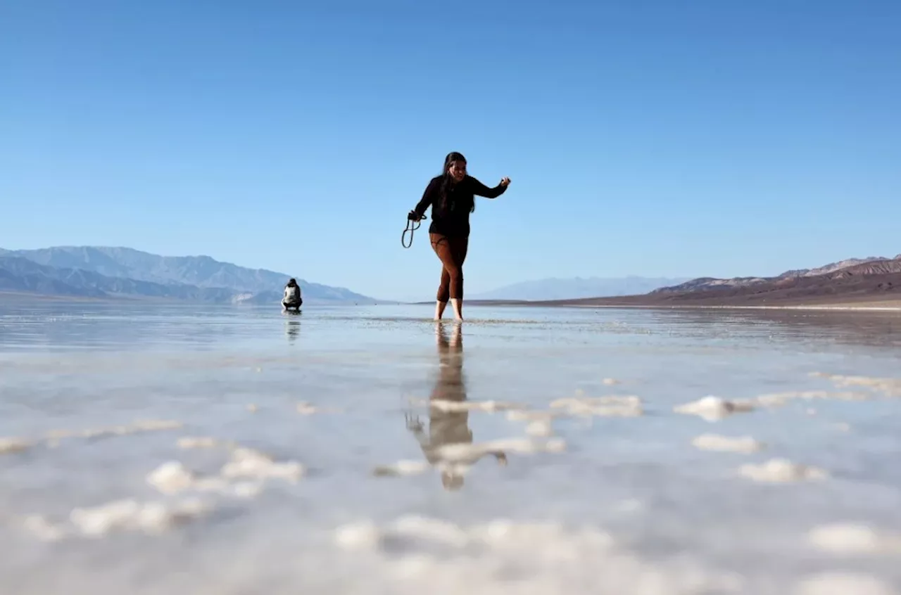 Death Valley, the driest place in North America, has sprung to life with lakes and flowers after Hurricane Hilary