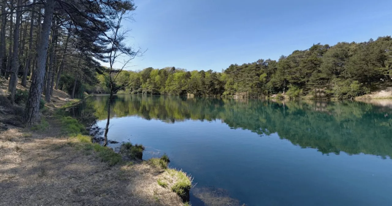 This pool is a nature lover's dream — and just two hours from London